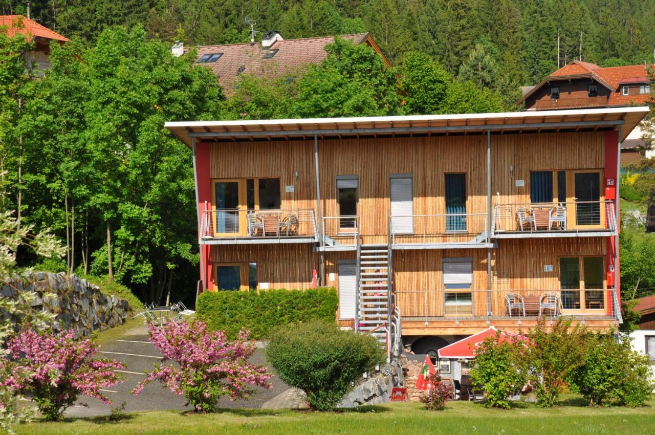 Erdhaeuser Und Apartments Mit Seeblick Und Alleinlage 魏森湖 外观 照片